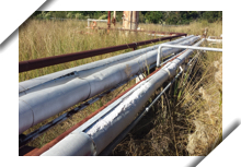 Asbestos-Containing Materials Consulting Services